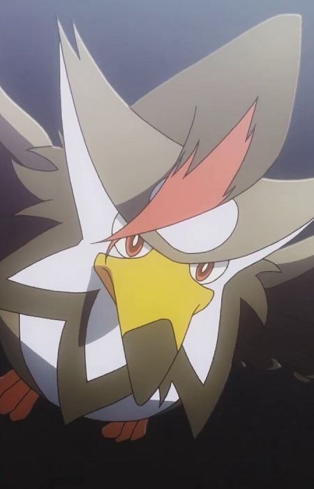 Mukuhawk (ムクホーク)