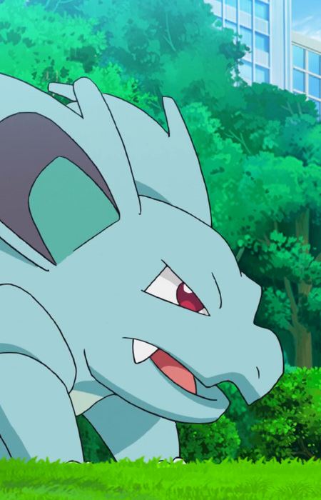 Nidorina (ニドリーナ)