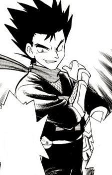 Ninja Koga 