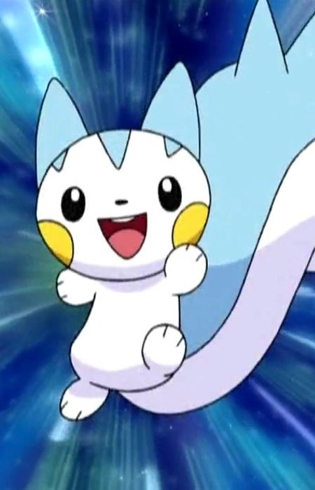 Pachirisu (パチリス)