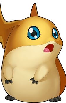 Patamon (パタモン)