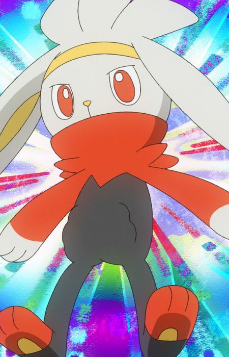 Rabbifuto (ラビフット)