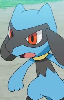 Riolu (リオル)