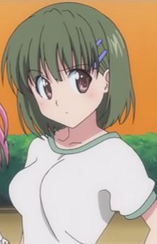 Sayaka Arai (新井 纱弥香)