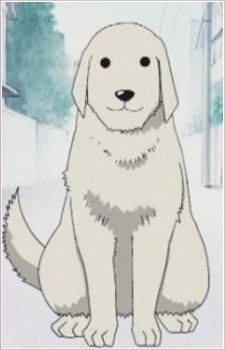 Tadakichi-san 