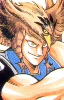 The Hawkman (ザ・ホークマン)