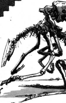 Upper-Level Builder (建設者)