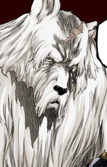 Wolfman Clan Elder 