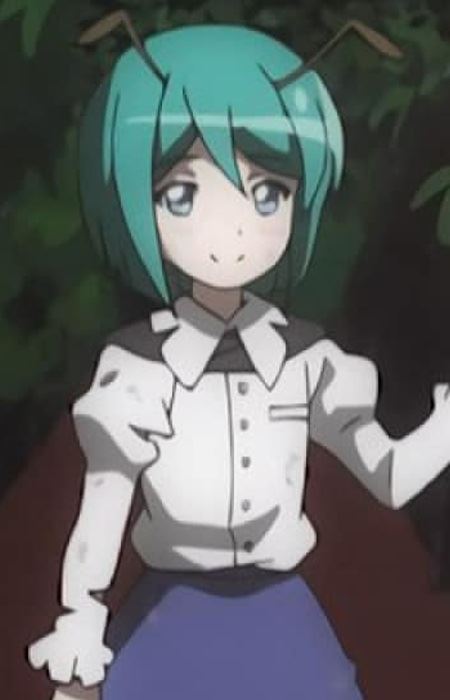 Wriggle Nightbug (リグル・ナイトバグ)