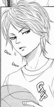 Yoshi (ヨッシー)