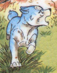 Bellatrix (ベラトリクス)