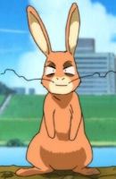 Hana Hajime (ハナ一)