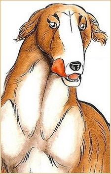 Rocket (ロケット)