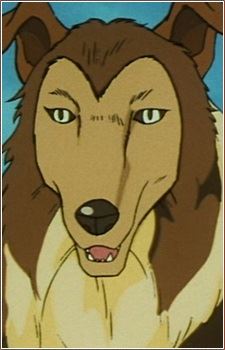 Wilson (ウィルソン)