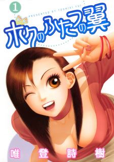 Boku no Futatsu no Tsubasa icon