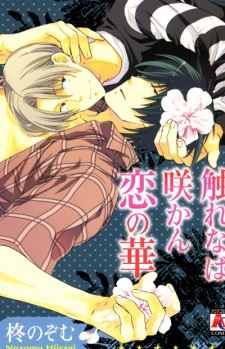 Furenaba Sakan Koi no Hana icon