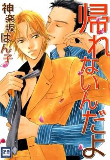 Kaerenai n da yo icon