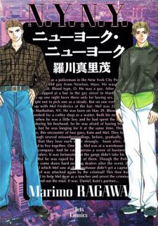 New York New York icon