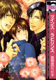 Twin's♡Labyrinth icon