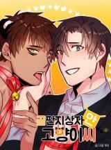 Cat in a Cardboard Box icon