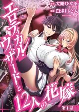 Erotical Wizard to 12-nin no Hanayome icon