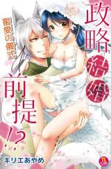 Kekkon Zentei x Aimitsu Gishiki icon