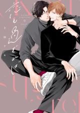 Koi mo Sugireba icon