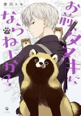 Omae, Tanuki ni Naranee ka? icon