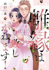 Rien wa Itashikanemasu! icon