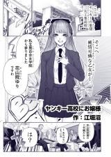 Yankee Koukou ni Ojou-sama (Pre-Serialization) icon